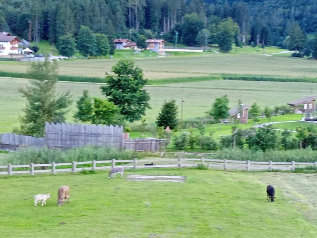Maso Torbiera- Rural And Mountain Lodging Fiavè Zewnętrze zdjęcie