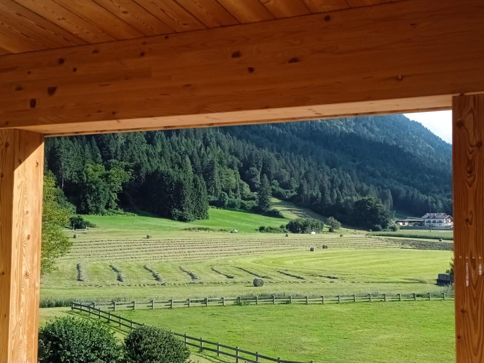 Maso Torbiera- Rural And Mountain Lodging Fiavè Zewnętrze zdjęcie