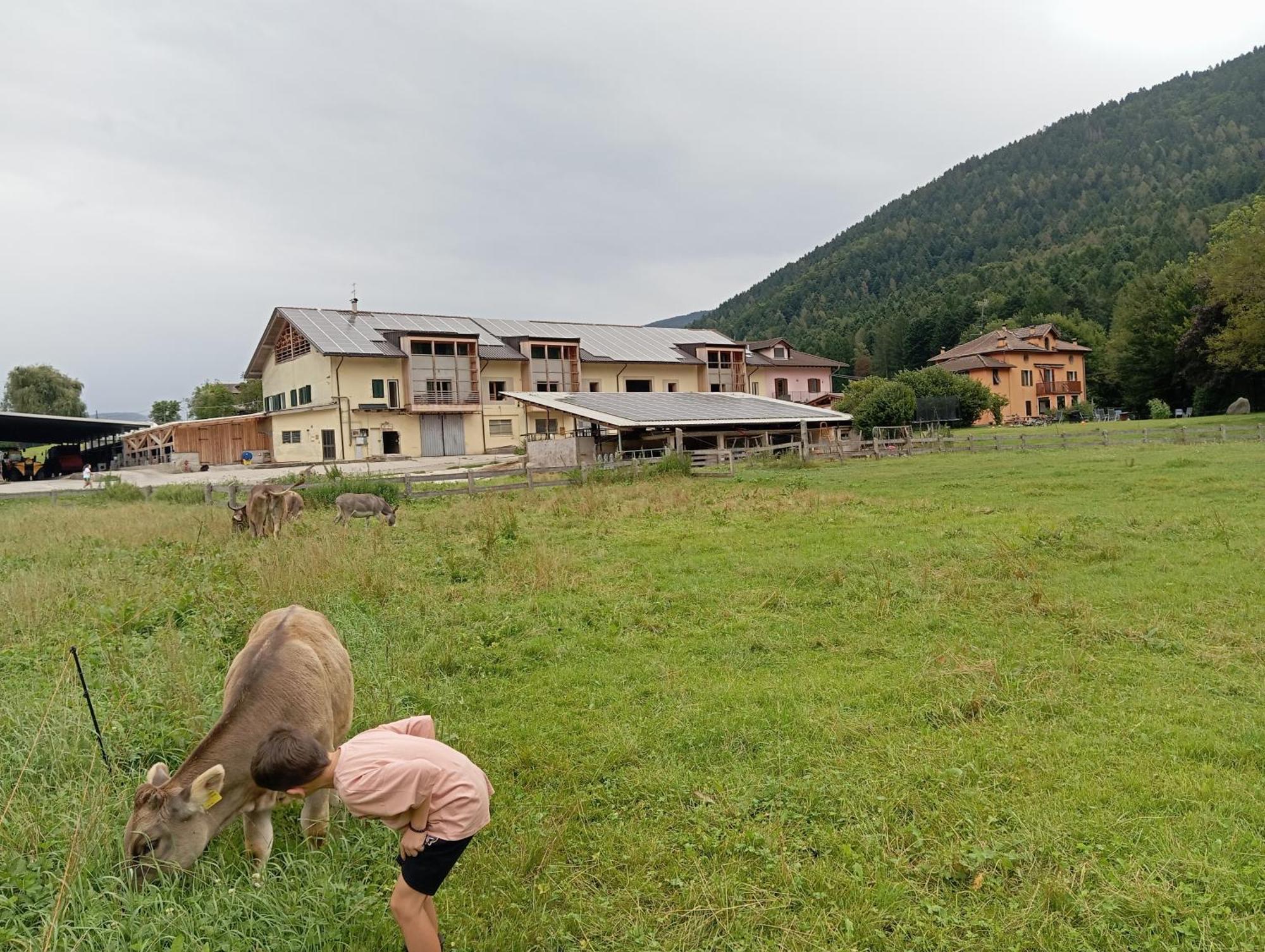 Maso Torbiera- Rural And Mountain Lodging Fiavè Zewnętrze zdjęcie
