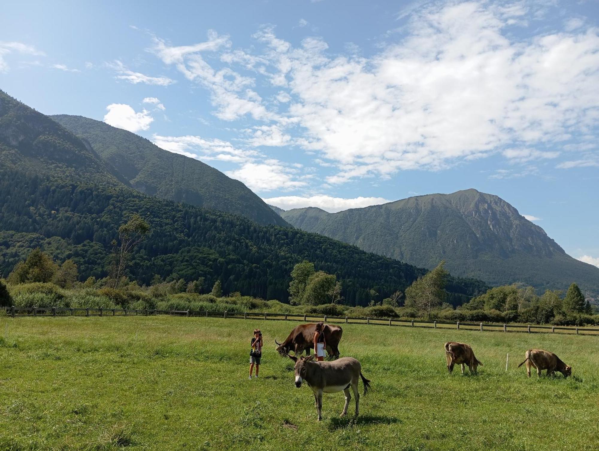 Maso Torbiera- Rural And Mountain Lodging Fiavè Zewnętrze zdjęcie